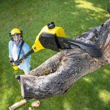 Best Sod Installation  in Edgeworth, PA